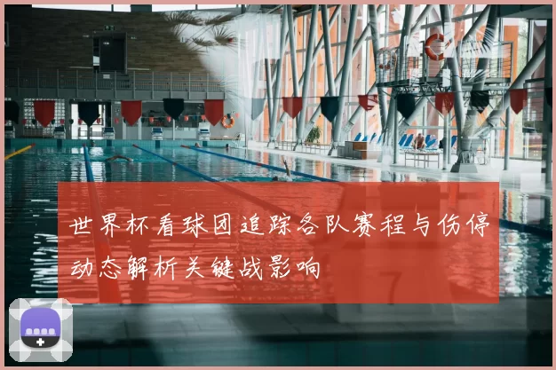 世界杯看球团追踪各队赛程与伤停动态解析关键战影响