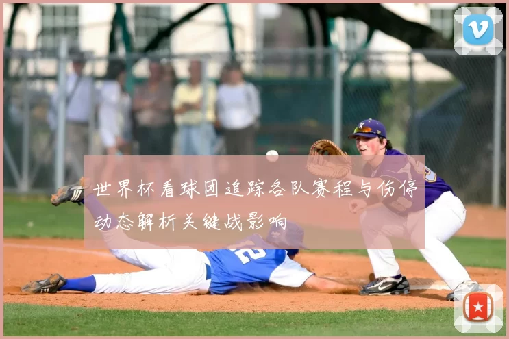世界杯看球团追踪各队赛程与伤停动态解析关键战影响